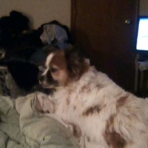 Meet your Posher, Cindy